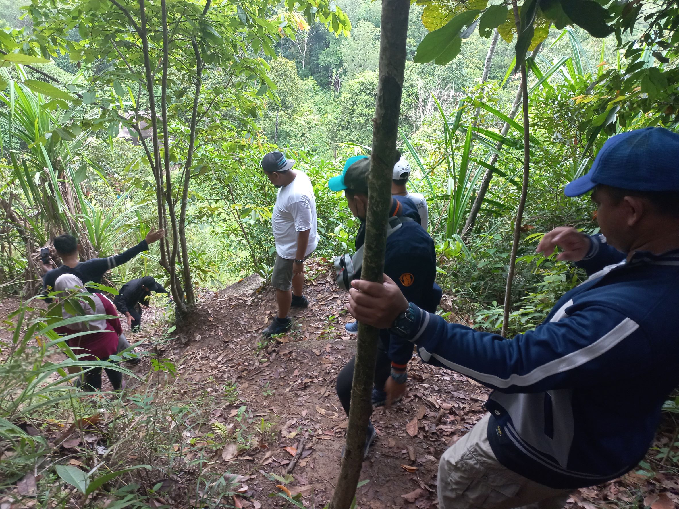 Wisata Hiking Di Bukit Tebalu Simpor Laki Desa Wisata Kreatif Terong